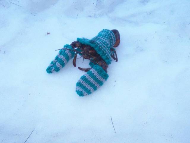 daily picdump 96 pics 34.html - 96 HD Photos | Premium Gallery 2018