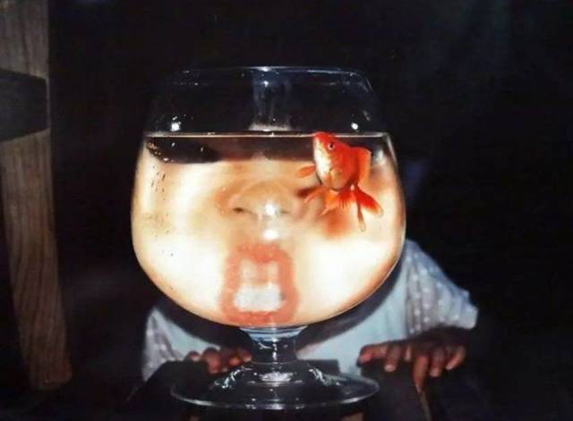 daily picdump 96 pics 34.html - 96 HD Photos | Premium Gallery 2018