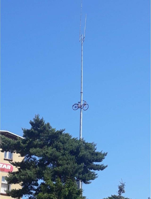 daily picdump 96 pics 34.html - 96 HD Photos | Premium Gallery 2018