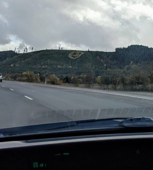 daily picdump 96 pics 34.html - 96 HD Photos | Premium Gallery 2018