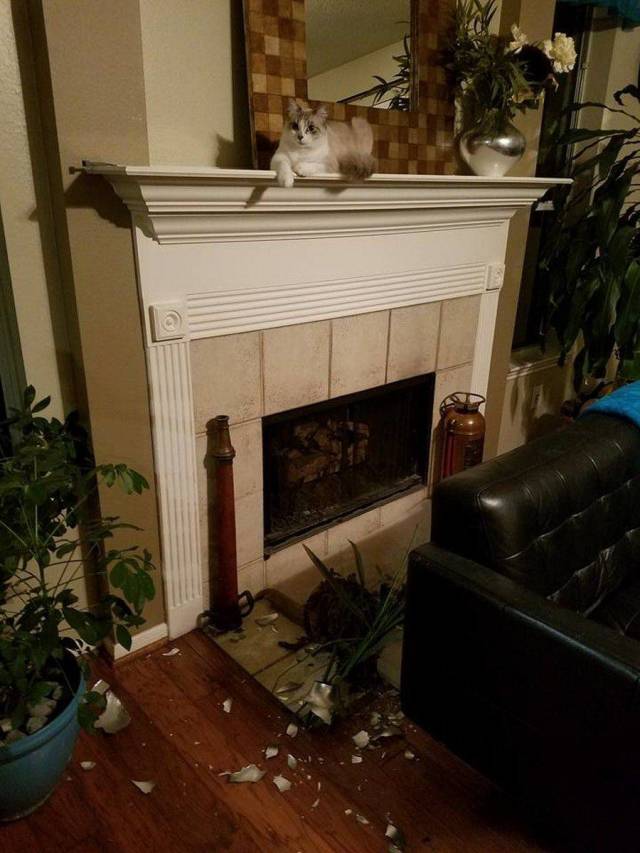 daily picdump 96 pics 34.html - 96 HD Photos | Premium Gallery 2018