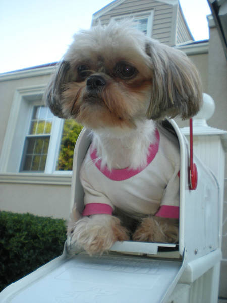 morning picdump 51 pics 20.html - 51 HD Photos | Premium Gallery 2018