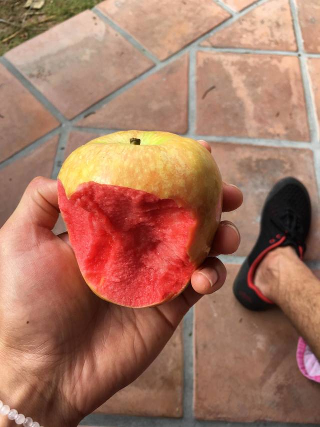 morning picdump 51 pics 20.html - 51 HD Photos | Premium Gallery 2018