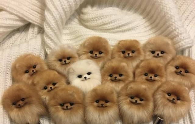 daily picdump 102 pics 31.html - 102 HD Photos | Premium Gallery 2018