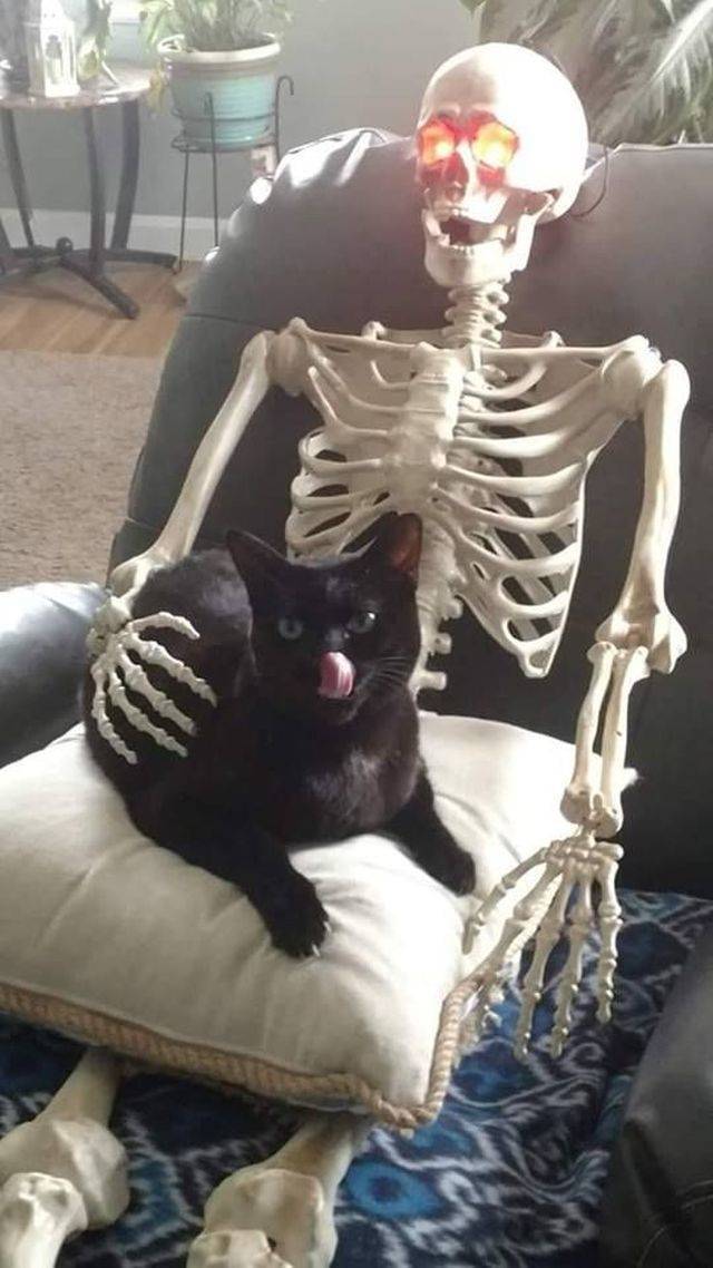 Daily Picdump