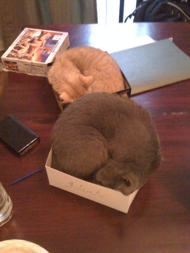 daily picdump 102 pics 31.html - 102 HD Photos | Premium Gallery 2018