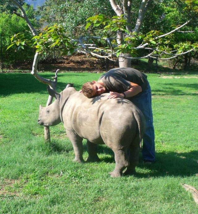 daily picdump 102 pics 31.html - 102 HD Photos | Premium Gallery 2018