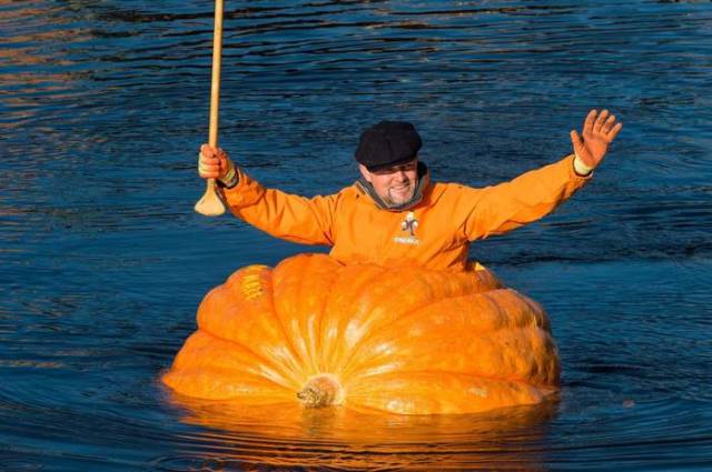 Morning Picdump