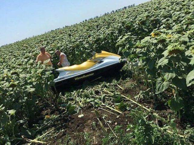 daily picdump 99 pics 46.html - 99 HD Photos | Premium Gallery 2018