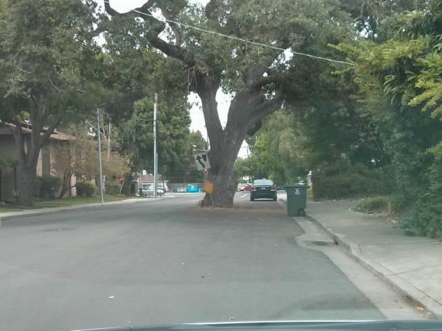 daily picdump 99 pics 46.html - 99 HD Photos | Premium Gallery 2018