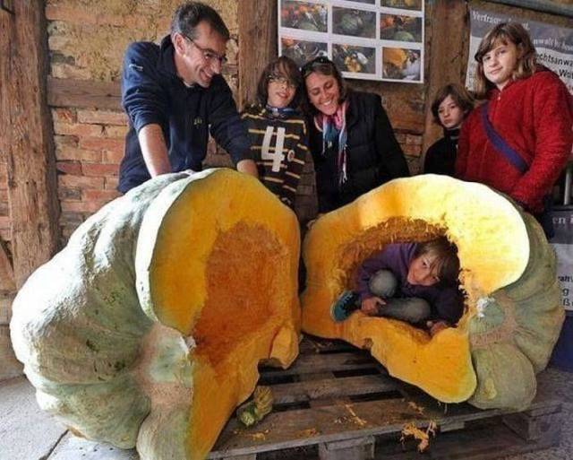 daily picdump 99 pics 46.html - 99 HD Photos | Premium Gallery 2018