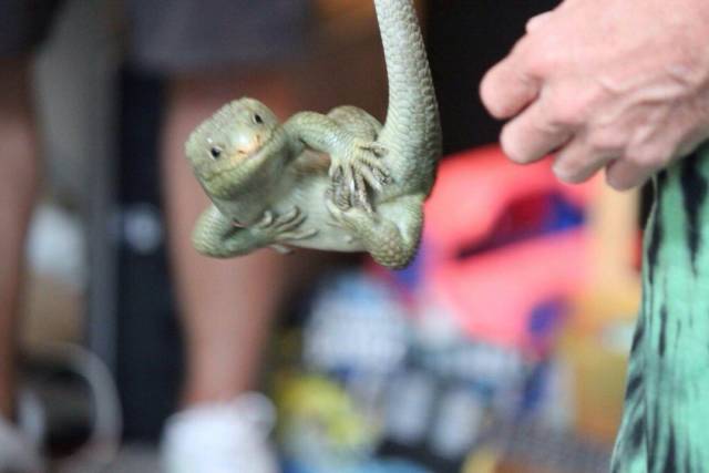 daily picdump 99 pics 46.html - 99 HD Photos | Premium Gallery 2018