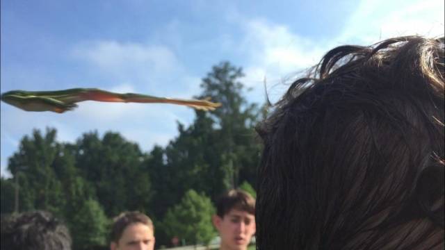 daily picdump 99 pics 46.html - 99 HD Photos | Premium Gallery 2018