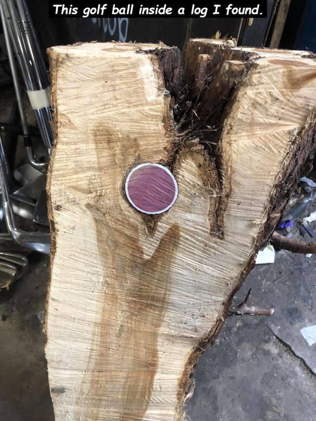 daily picdump 99 pics 46.html - 99 HD Photos | Premium Gallery 2018