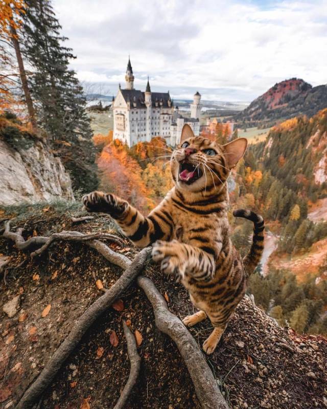 daily picdump 99 pics 46.html - 99 HD Photos | Premium Gallery 2018