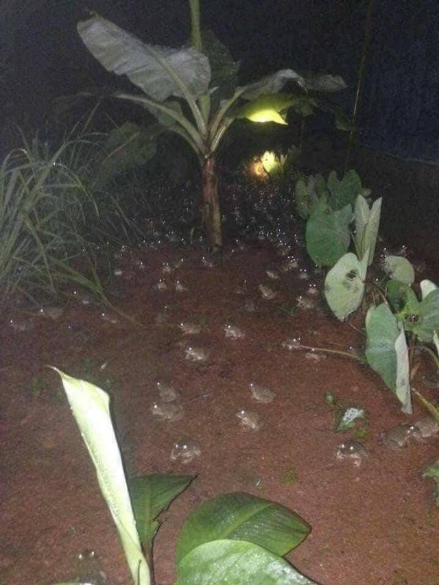 daily picdump 99 pics 46.html - 99 HD Photos | Premium Gallery 2018