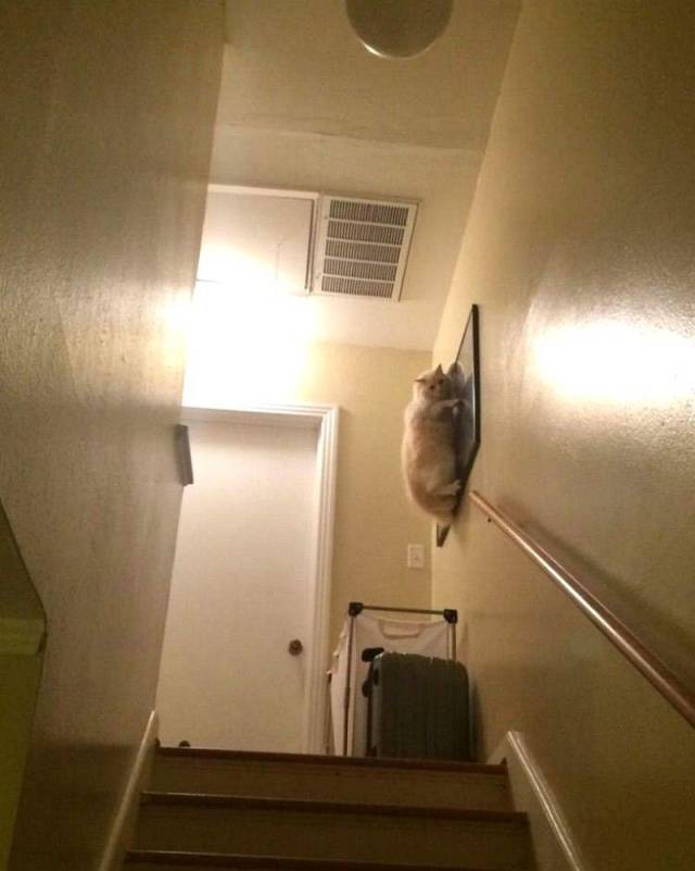 daily picdump 99 pics 46.html - 99 HD Photos | Premium Gallery 2018