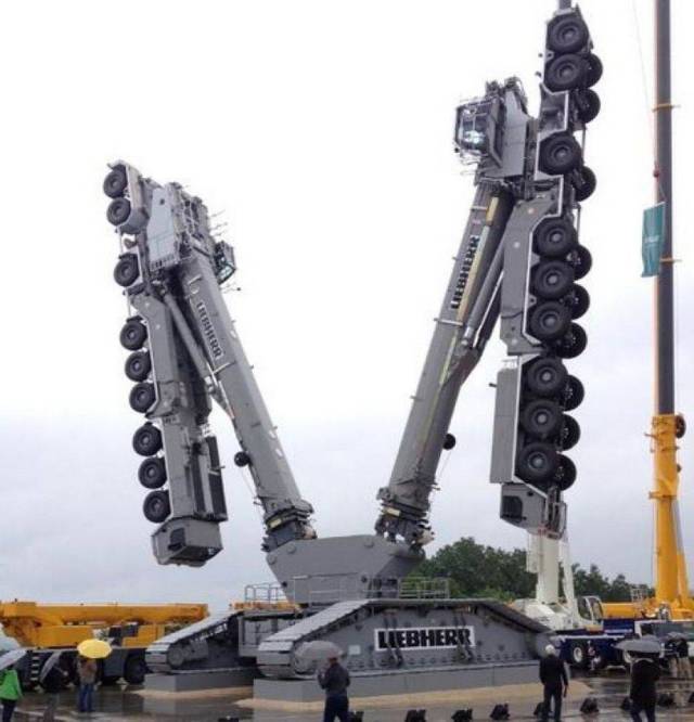 daily picdump 99 pics 46.html - 99 HD Photos | Premium Gallery 2018