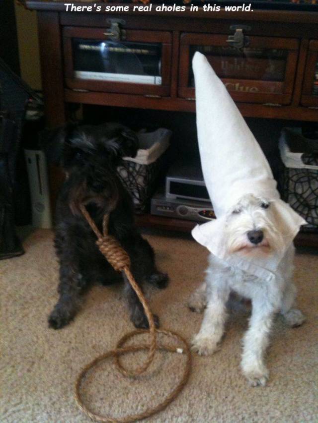 daily picdump 99 pics 46.html - 99 HD Photos | Premium Gallery 2018