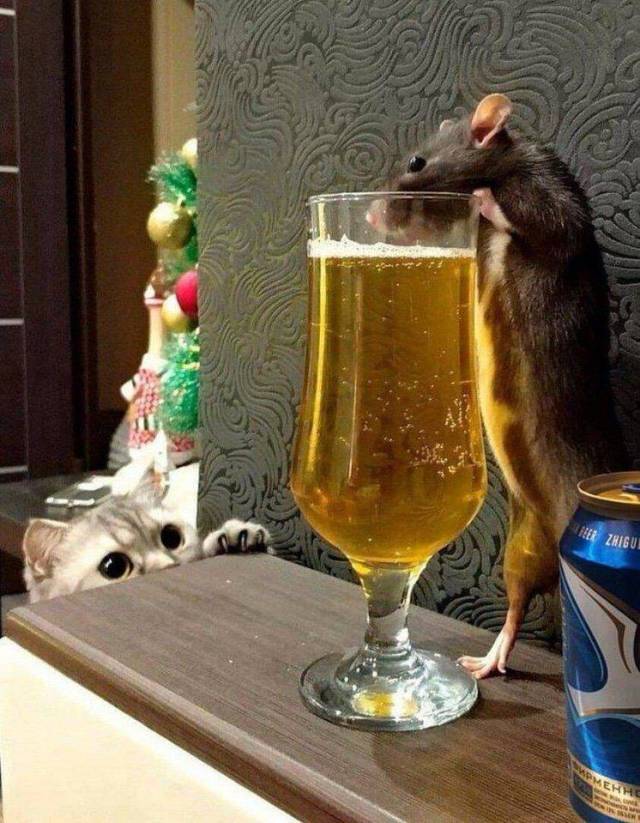 daily picdump 99 pics 46.html - 99 HD Photos | Premium Gallery 2018