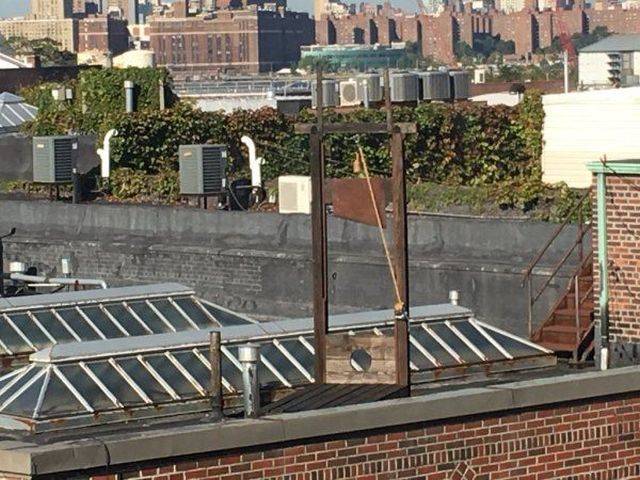 Hard-to-explain WTF Photos