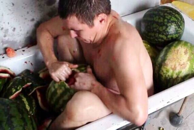 Hard-to-explain WTF Photos