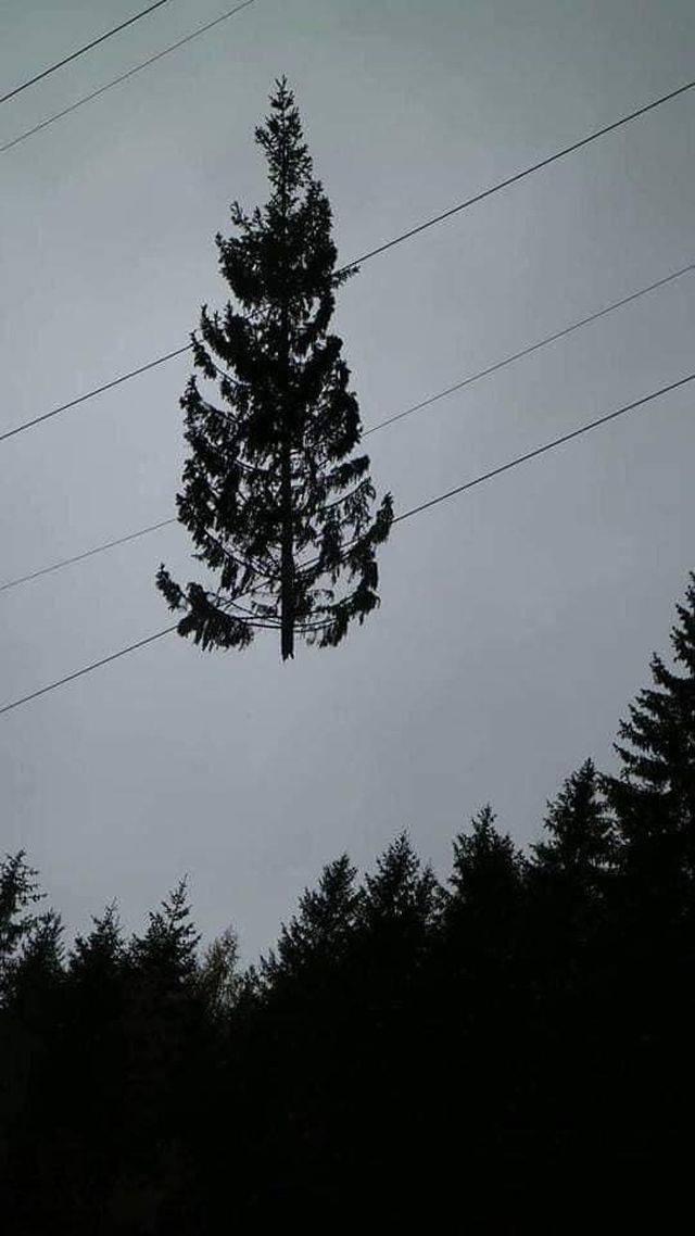 Hard-to-explain WTF Photos