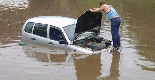 daily picdump 94 pics 12.html - 94 HD Photos | Premium Gallery 2018