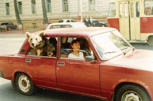 daily picdump 94 pics 12.html - 94 HD Photos | Premium Gallery 2018