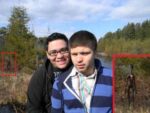 daily picdump 94 pics 12.html - 94 HD Photos | Premium Gallery 2018