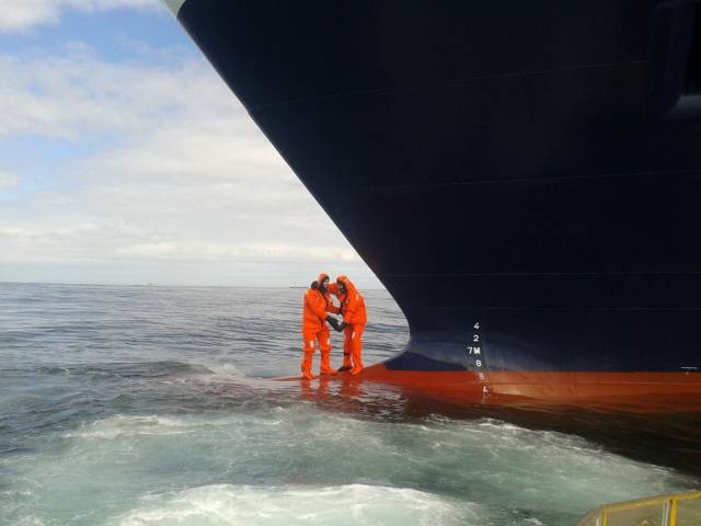 daily picdump 94 pics 12.html - 94 HD Photos | Premium Gallery 2018