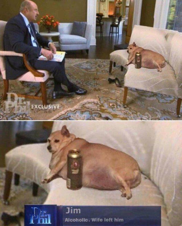 daily picdump 94 pics 12.html - 94 HD Photos | Premium Gallery 2018