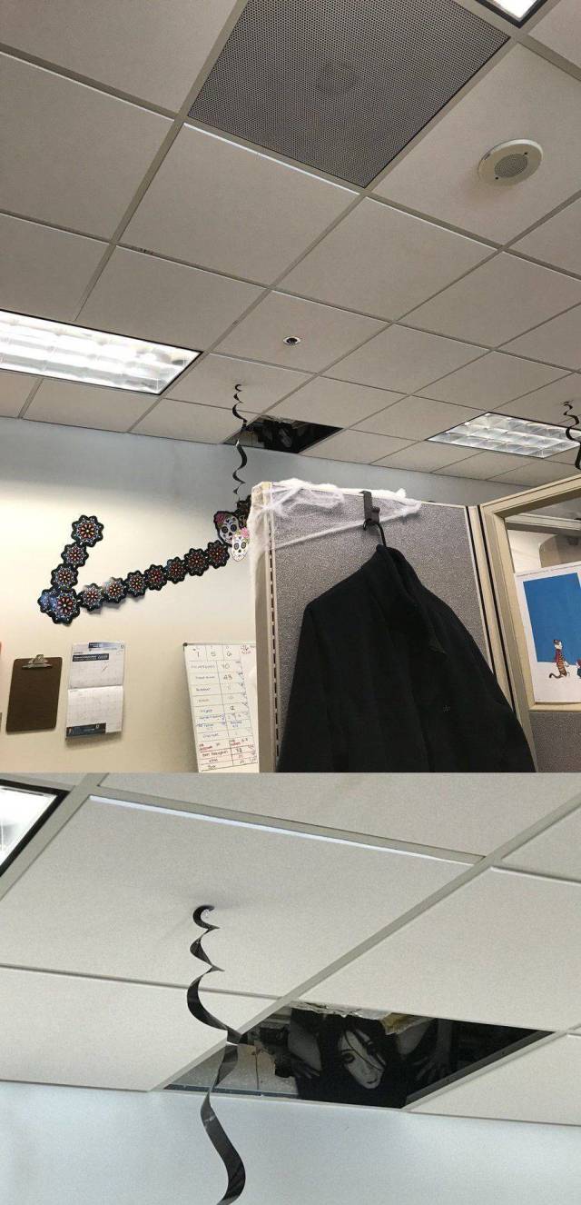 daily picdump 94 pics 12.html - 94 HD Photos | Premium Gallery 2018