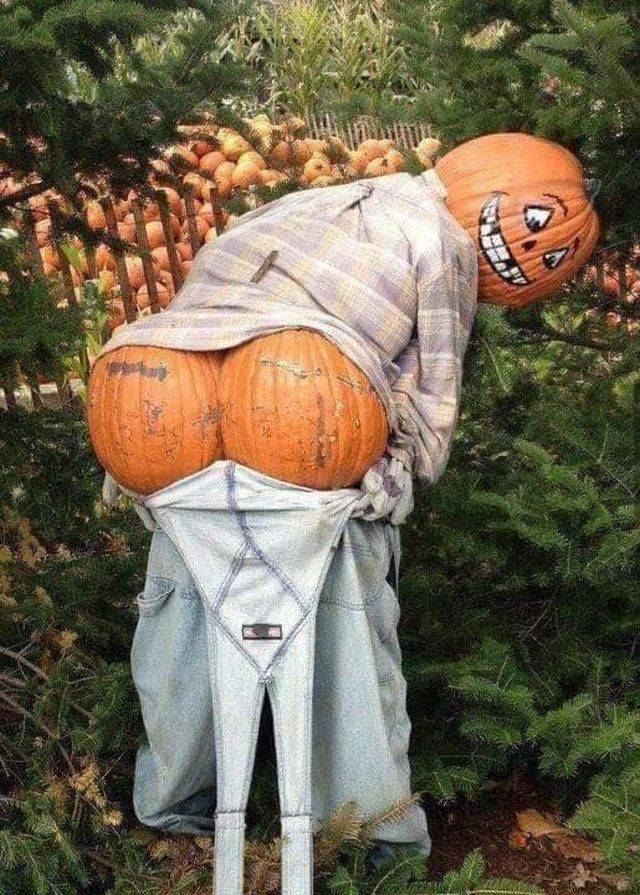 daily picdump 94 pics 12.html - 94 HD Photos | Premium Gallery 2018