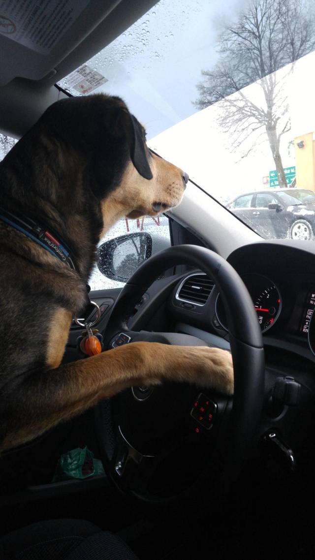 daily picdump 94 pics 12.html - 94 HD Photos | Premium Gallery 2018