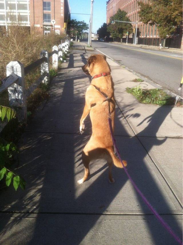 daily picdump 94 pics 12.html - 94 HD Photos | Premium Gallery 2018