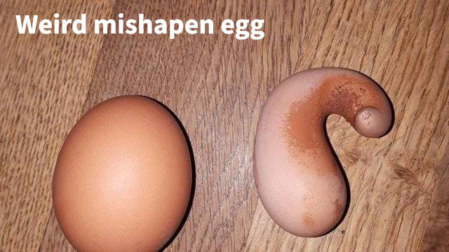 morning picdump 51 pics 3.html - 51 HD Photos | Premium Gallery 2018