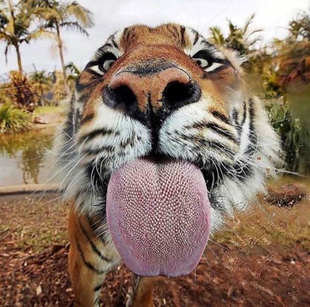 Daily Picdump [WEEKEND EDITION]