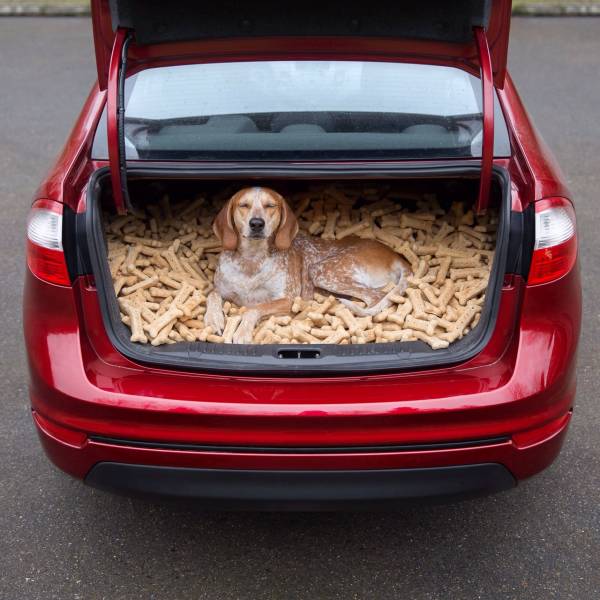 daily picdump weekend edition 51 pics 1.html - 51 HD Photos | Premium Gallery 2018