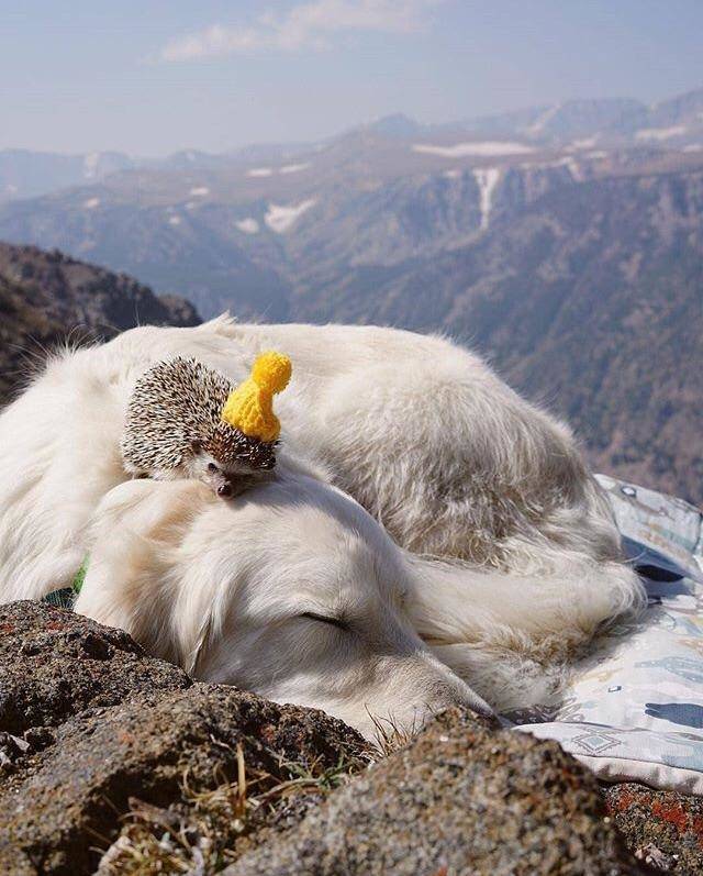 daily picdump weekend edition 51 pics 1.html - 51 HD Photos | Premium Gallery 2018