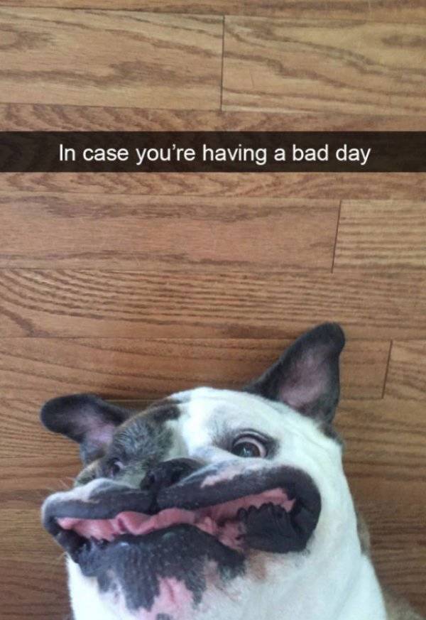 daily picdump weekend edition 51 pics 1.html - 51 HD Photos | Premium Gallery 2018