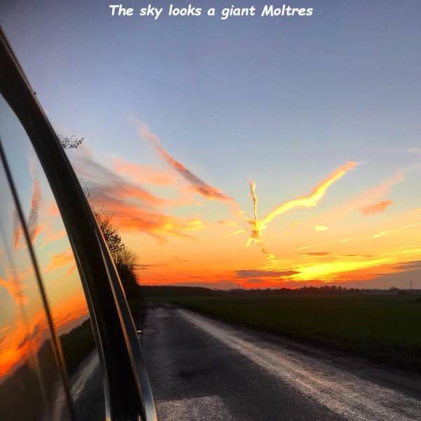 daily picdump 101 pics 3.html - 101 HD Photos | Premium Gallery 2018