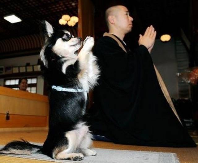 daily picdump 101 pics 3.html - 101 HD Photos | Premium Gallery 2018