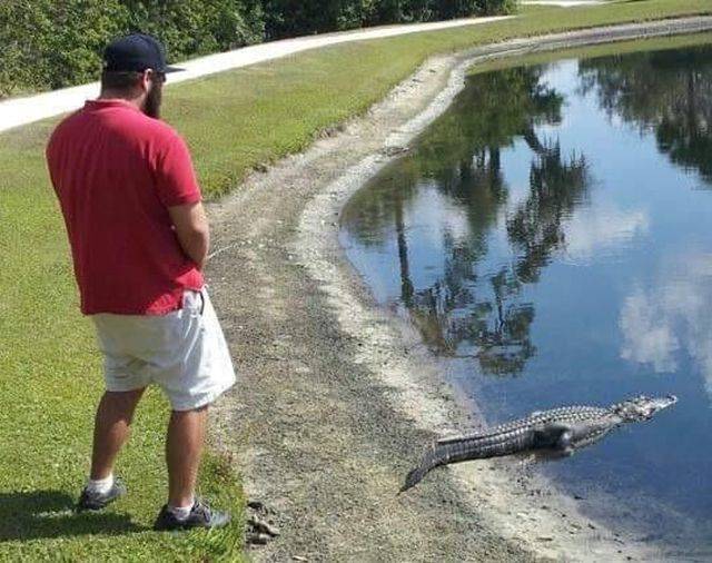 daily picdump 101 pics 3.html - 101 HD Photos | Premium Gallery 2018