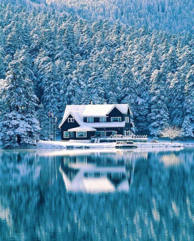 daily picdump 101 pics 3.html - 101 HD Photos | Premium Gallery 2018