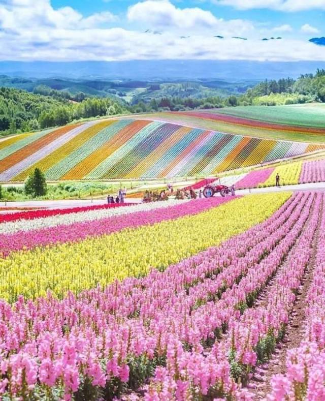 daily picdump 101 pics 3.html - 101 HD Photos | Premium Gallery 2018