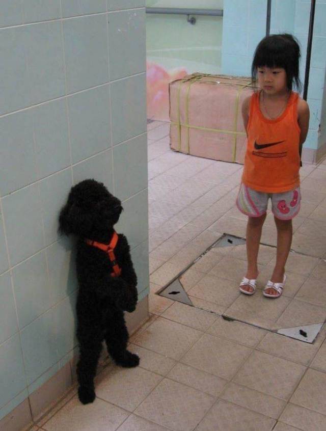 daily picdump 101 pics 3.html - 101 HD Photos | Premium Gallery 2018