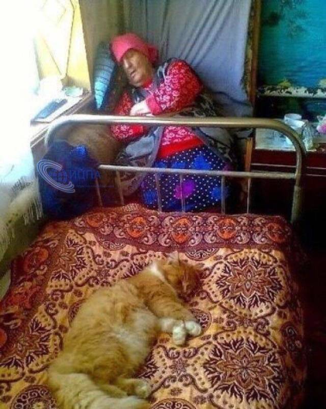 daily picdump 101 pics 3.html - 101 HD Photos | Premium Gallery 2018