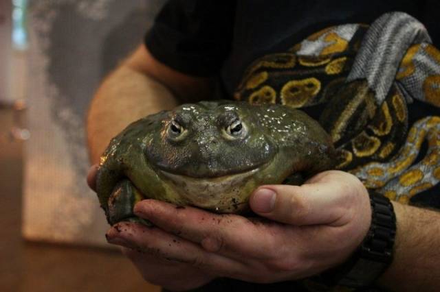 daily picdump 96 pics 41.html - 96 HD Photos | Premium Gallery 2018