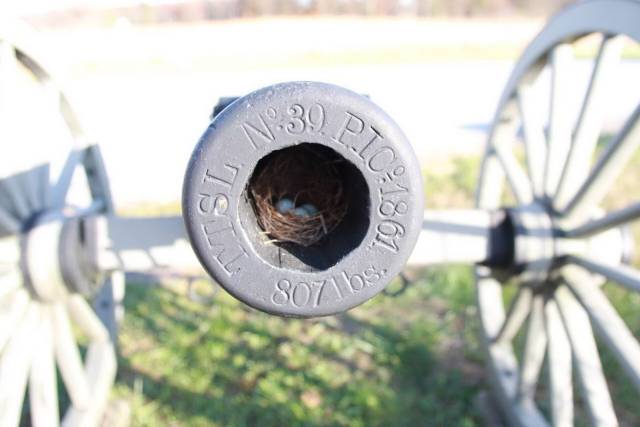 daily picdump 96 pics 41.html - 96 HD Photos | Premium Gallery 2018